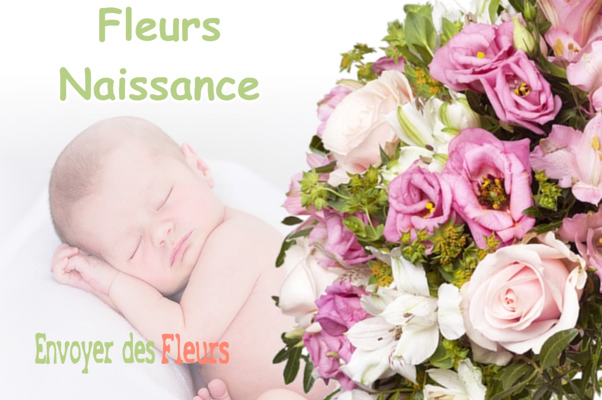 lIVRAISON FLEURS NAISSANCE à ESCRIGNELLES